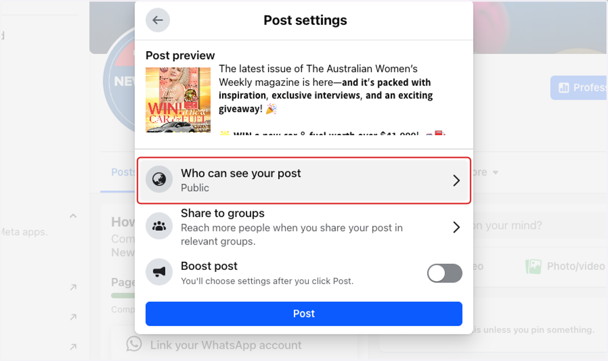Optional - Here you can edit ho will see the post