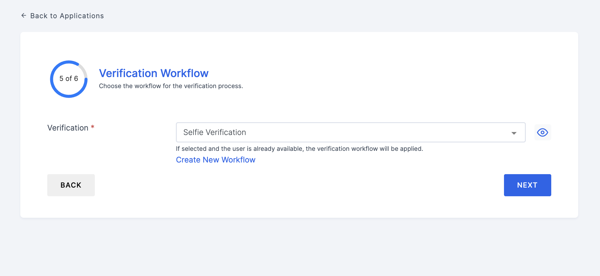 Verification Workflow