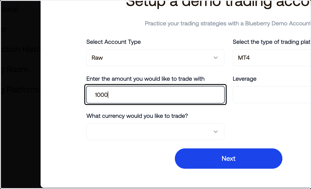 Enter the amount of virtual funds you'd like to have
