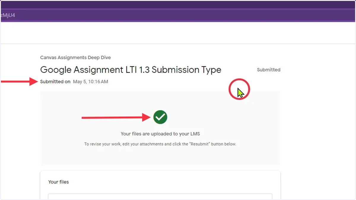 Assignment Submission Confirmation