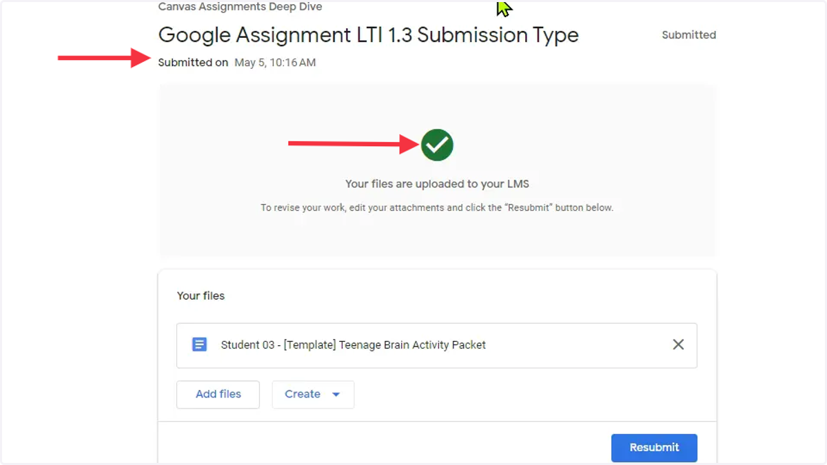 Assignment Submission Confirmation
