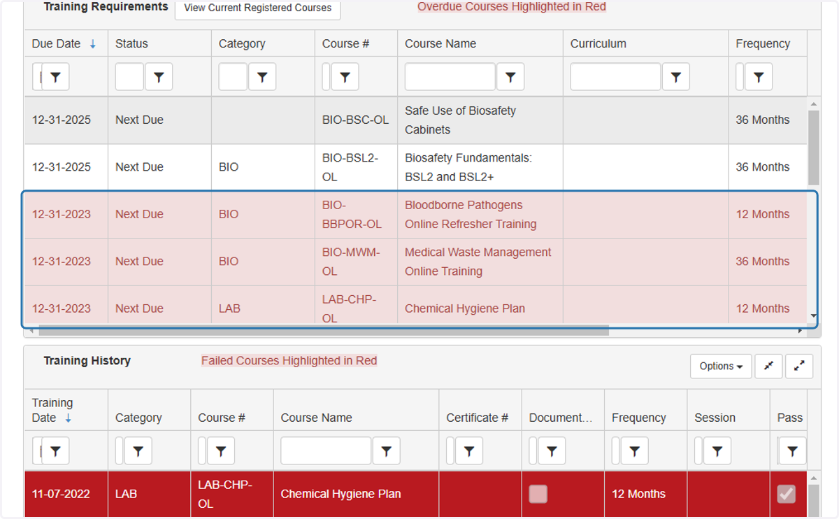 In the "Training Requirements" table, requirements that have not been met are highlighted in red with red text.