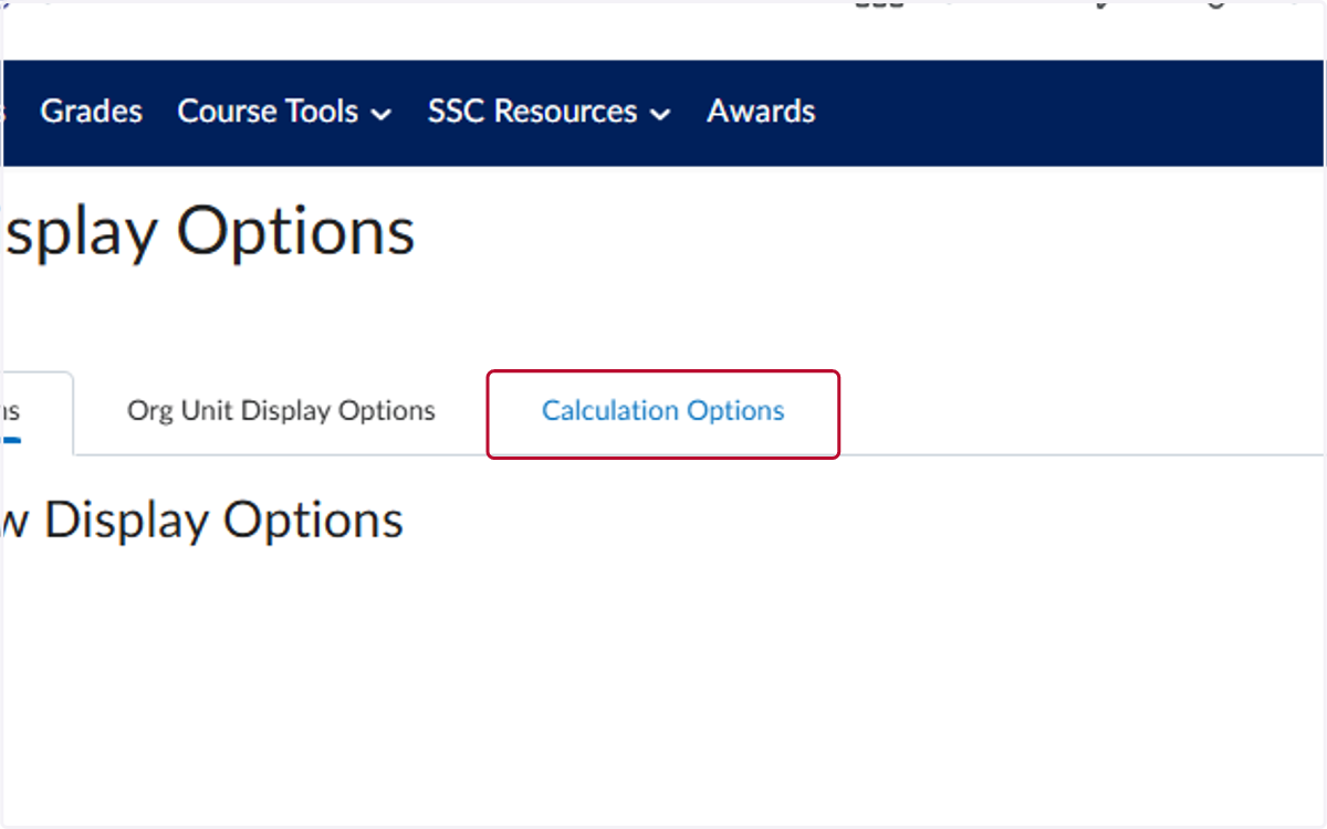 Click on Calculation Options