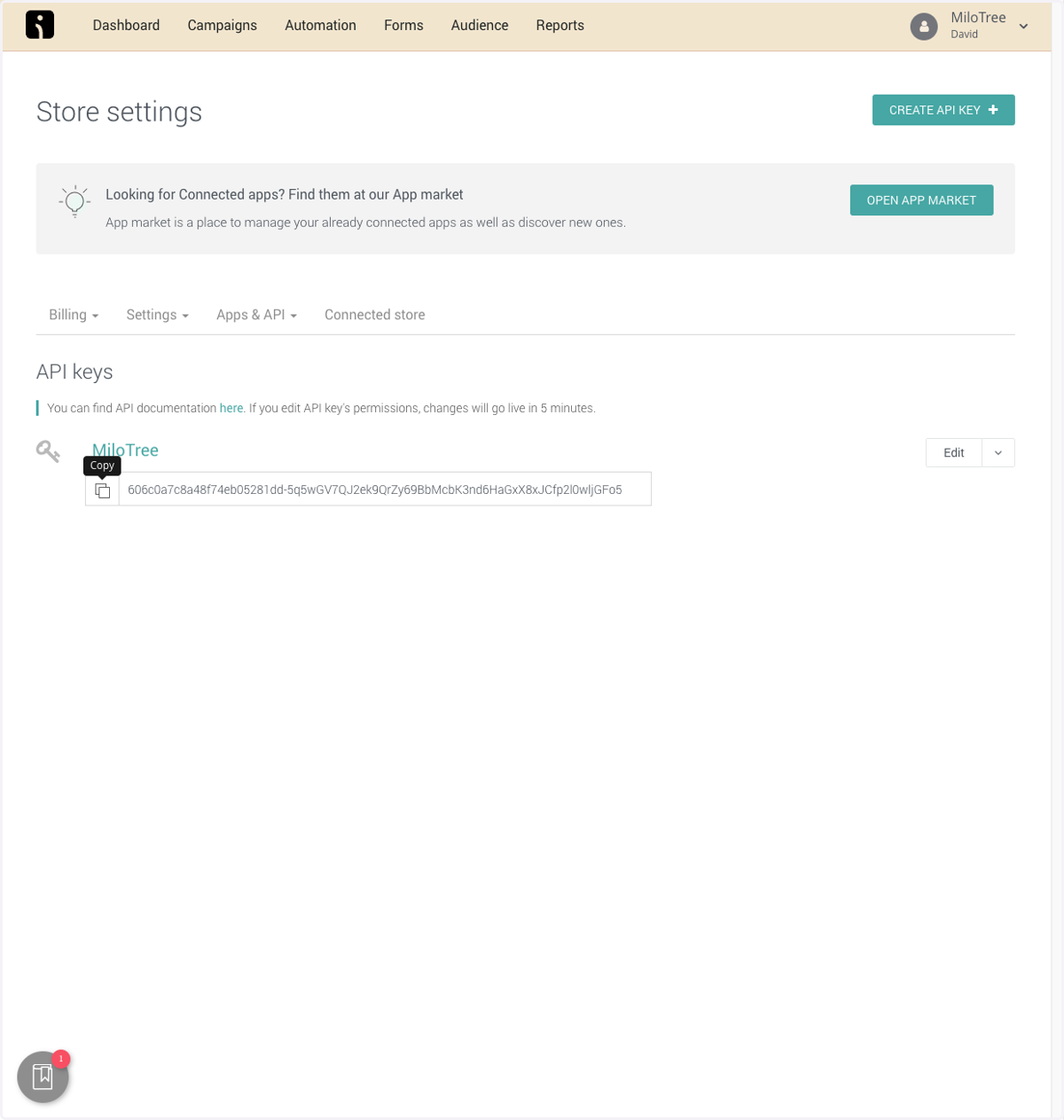 Copy API Key