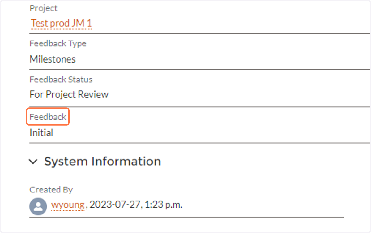 You will find the initial project feedback under the feedback header for specific project documents.