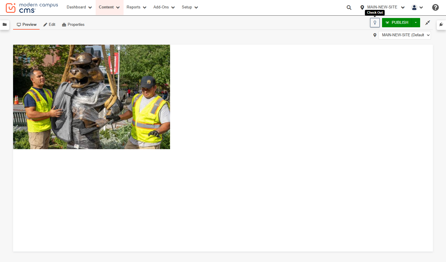 Click on Check Out