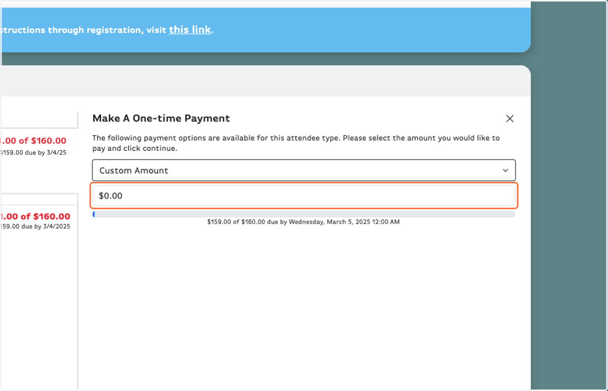 Fill in the amount you wish to pay.
