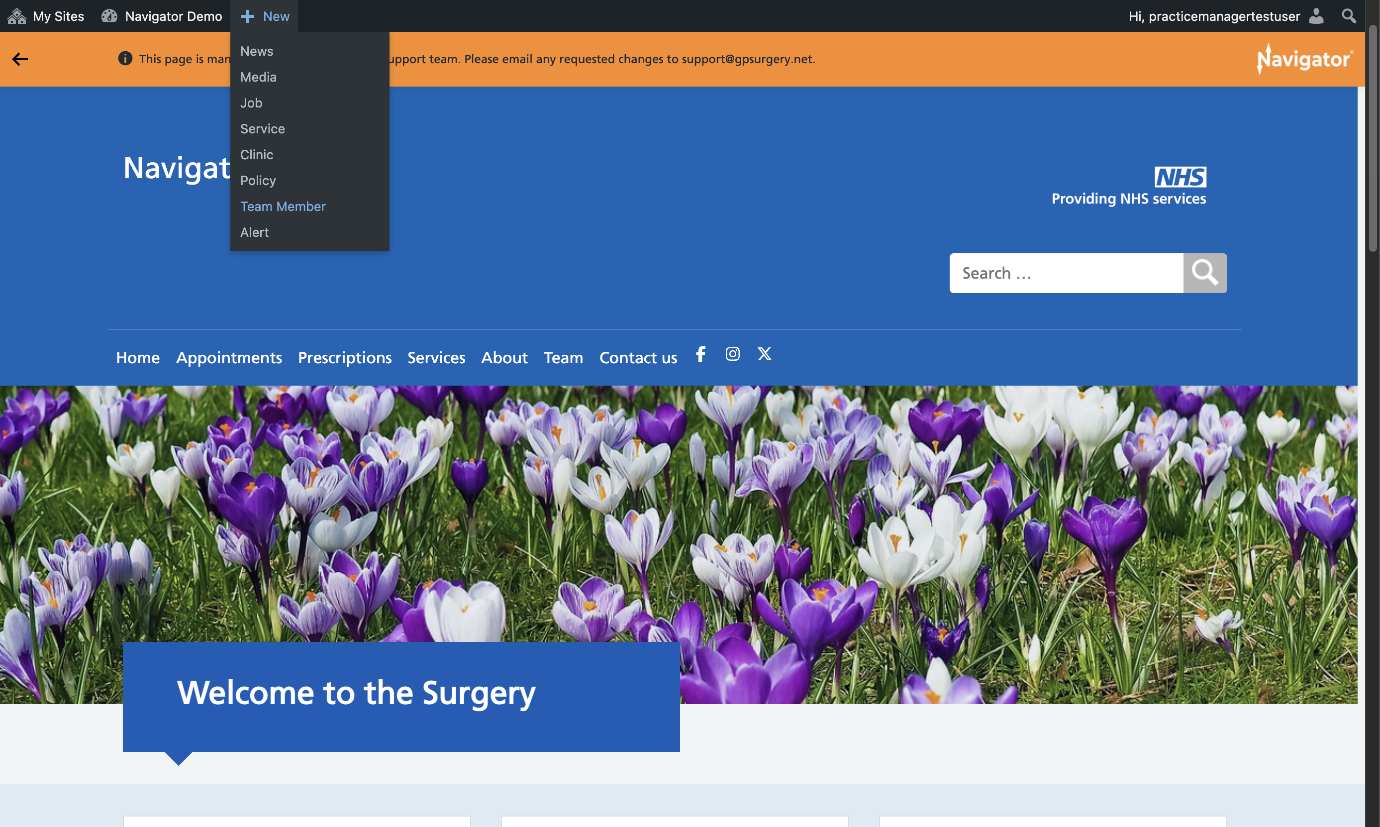 The + New drop-down with Team Member selected