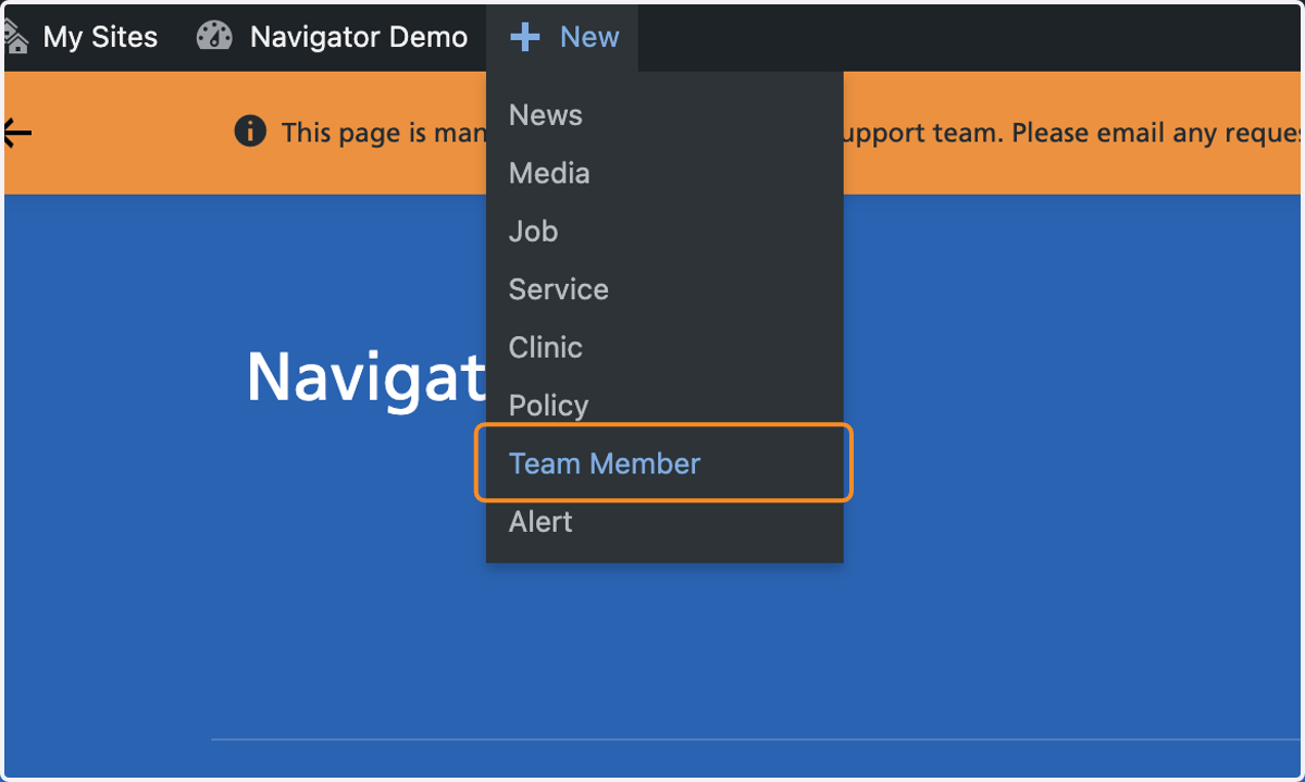 The + New drop-down with Team Member selected