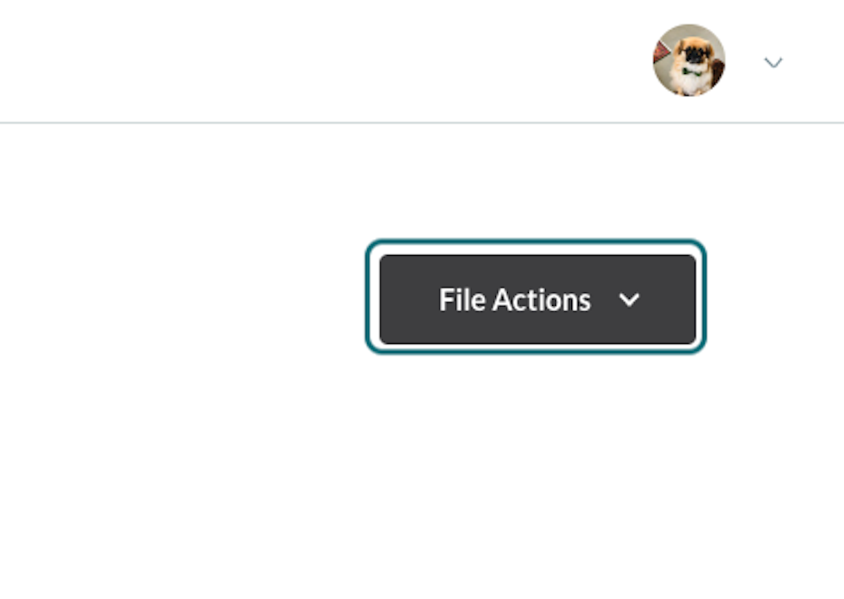 Click on File Actions 