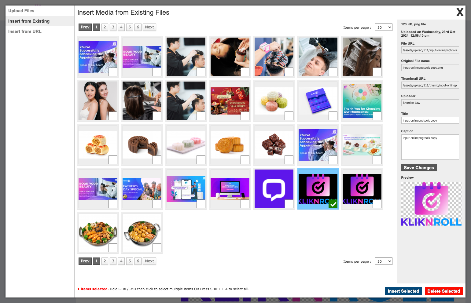 Select the image you want to upload by ticking the checkbox, then click "Insert Selected.