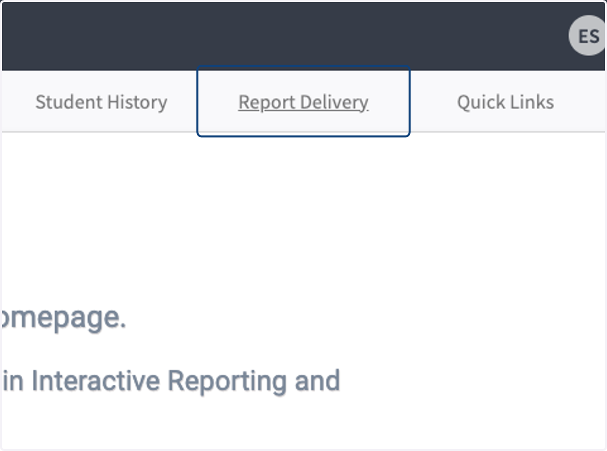 Click on Report Delivery