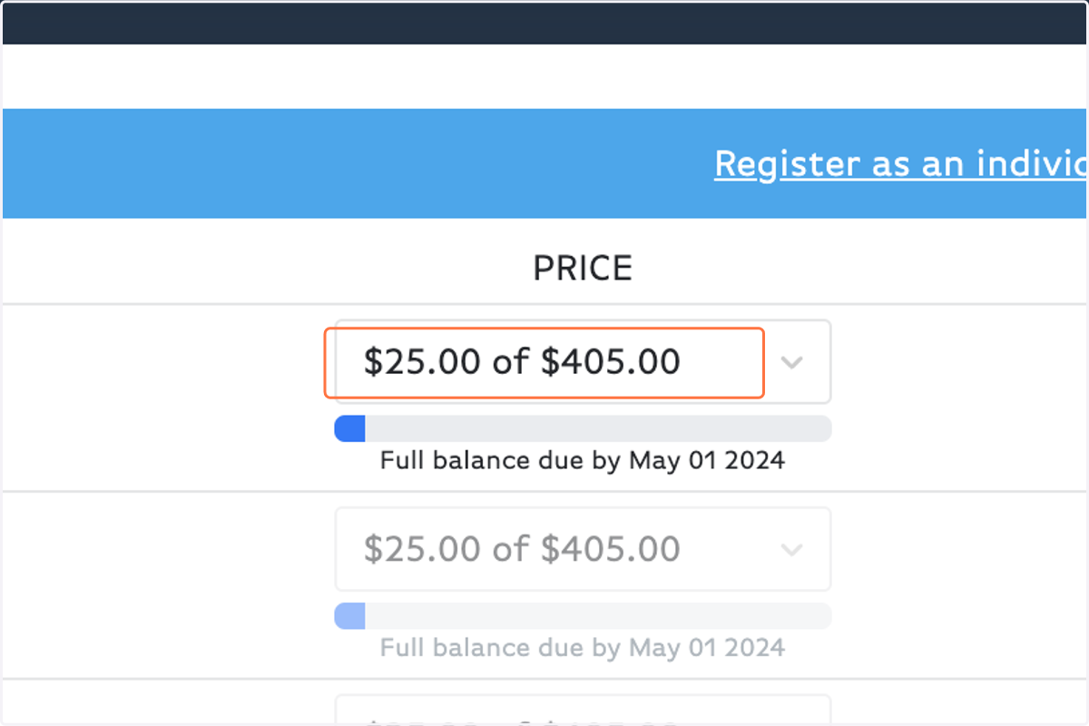 Choose your payment amount