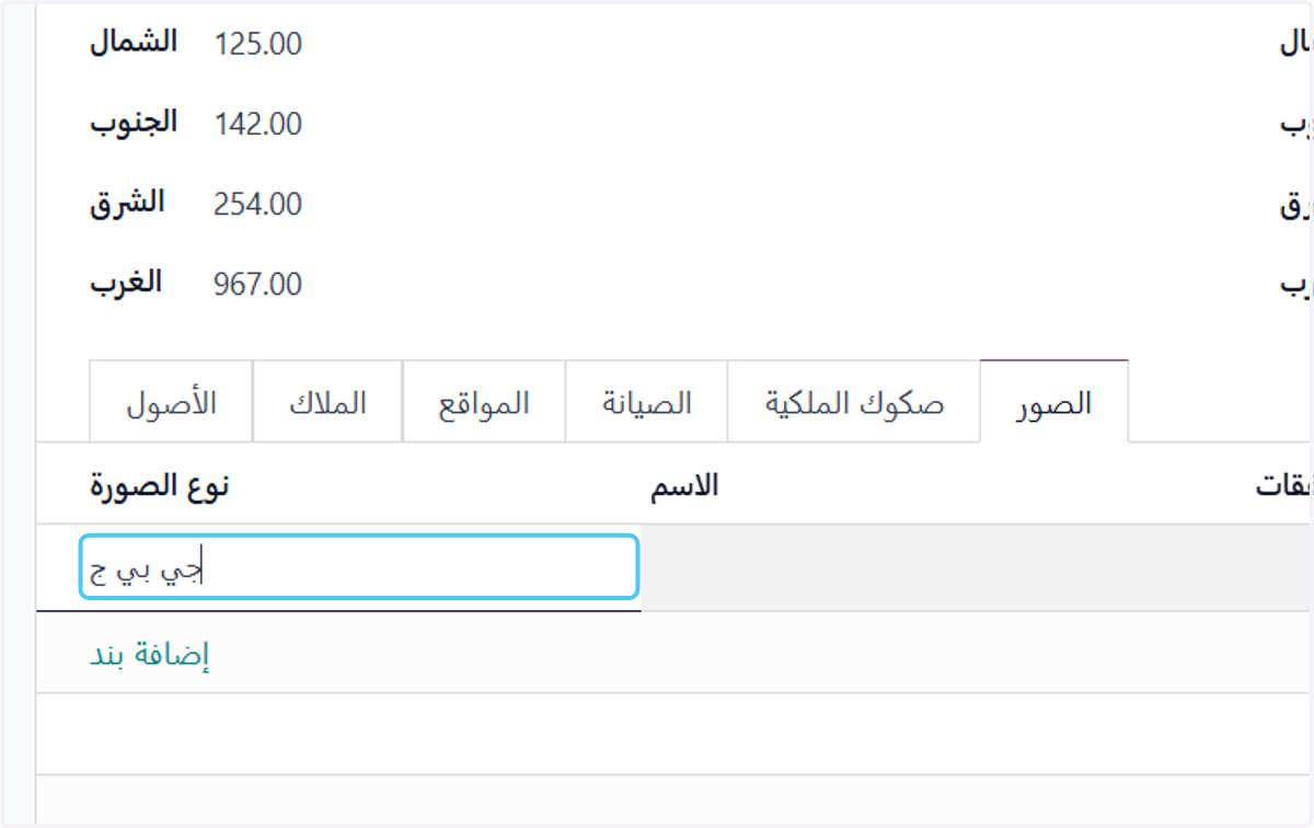 تحديد نوع الصورة