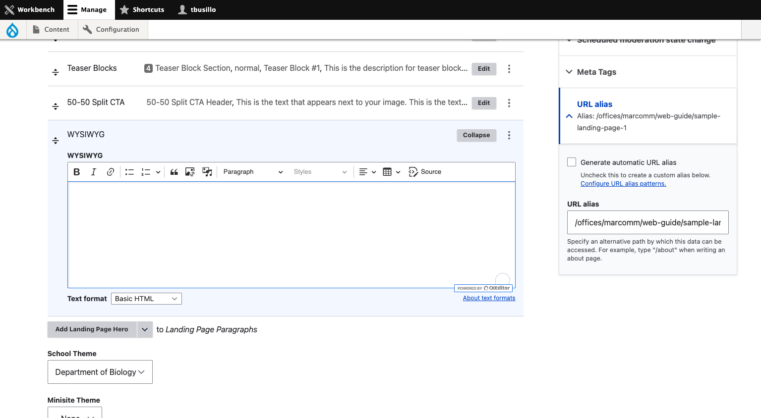 Enter the editing area and begin type in some text