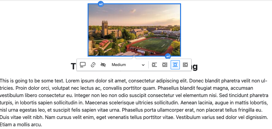 Select the image, then click the icon with the image centered to center it.