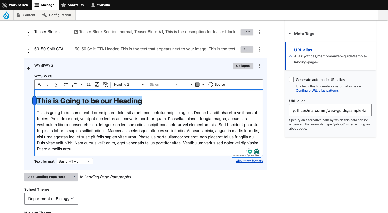 Review the heading in your editor.