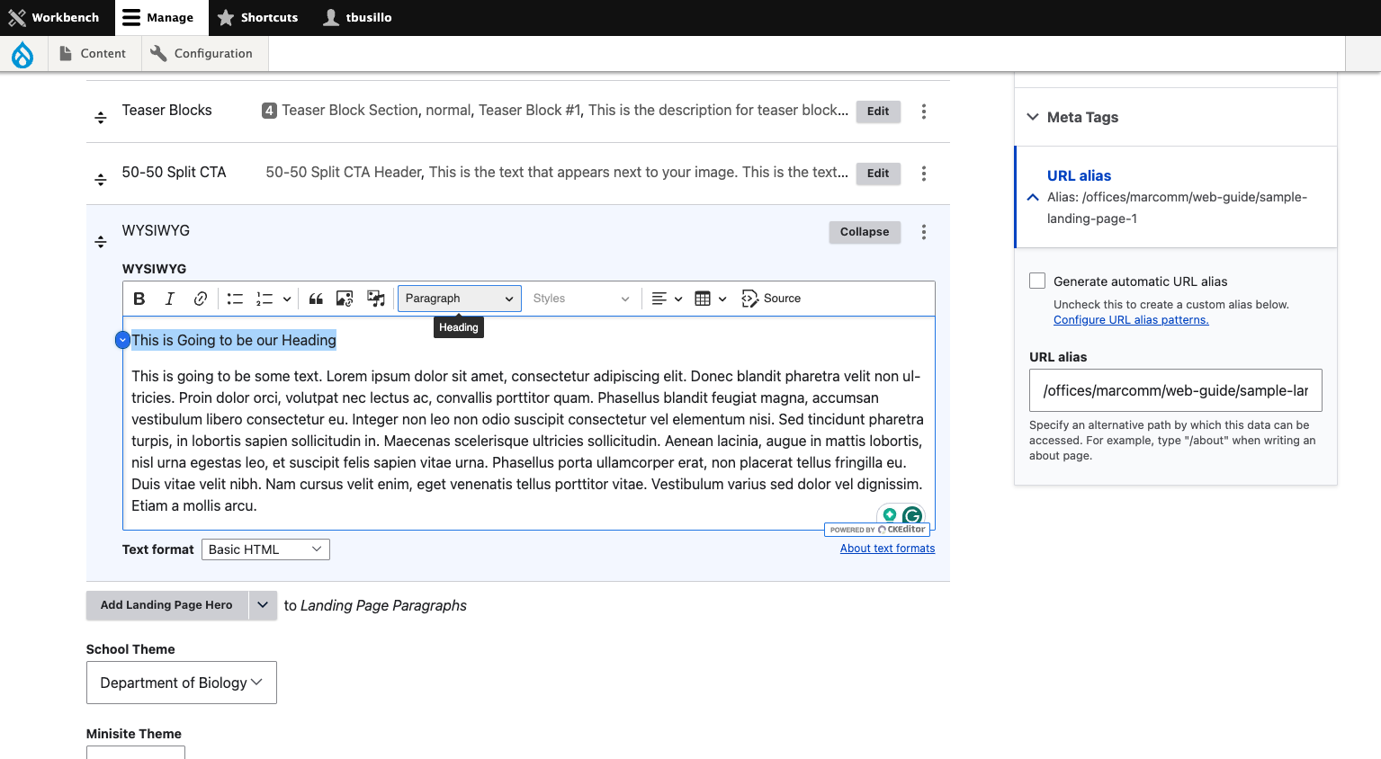 Click on Paragraph