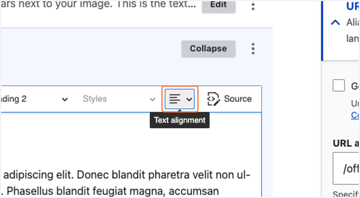 Click on the Text Alignment dropdown