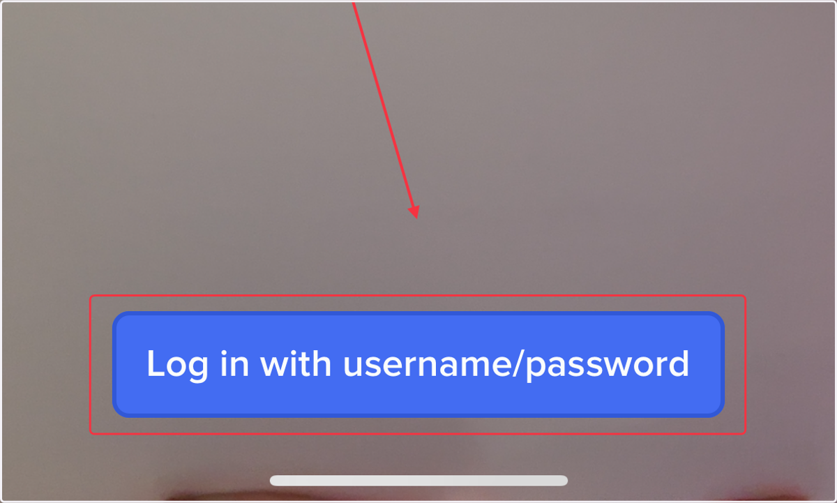 Clever login page with button, "Log in with username/password."
