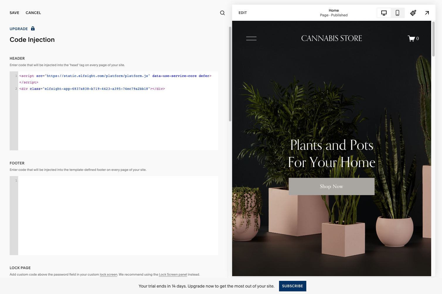 Paste the code into the 'HEADER' field