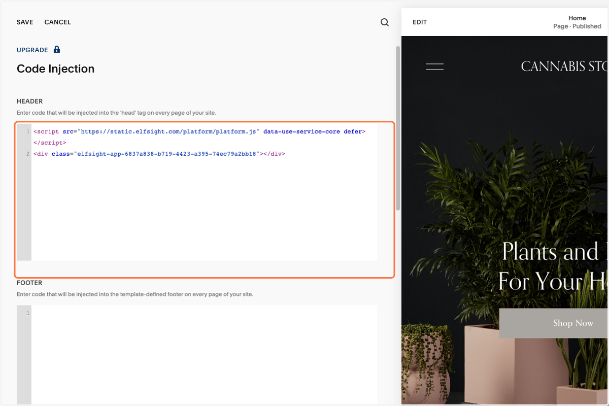 Paste the code into the 'HEADER' field