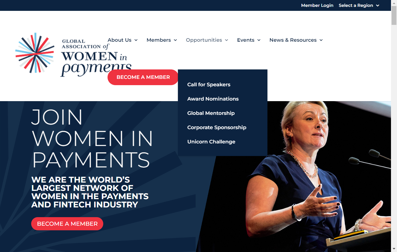 Navigate to the Opportunities tab.