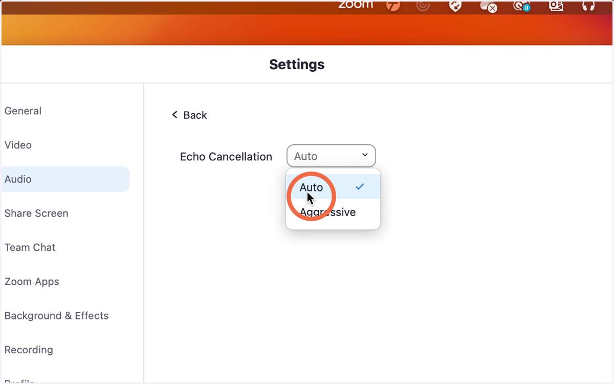 Echo Cancellation should be turned to "Auto"