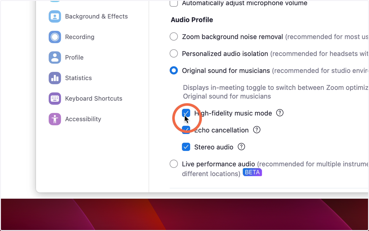 High-fidelity, echo cancellation, and stereo audio should all be selected
