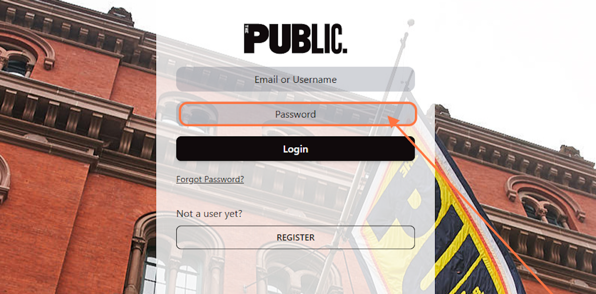Enter your Public Theater website Password.