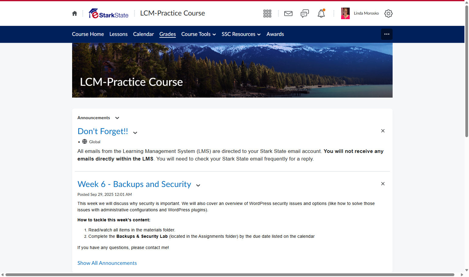 Click on Grades on the menu bar.