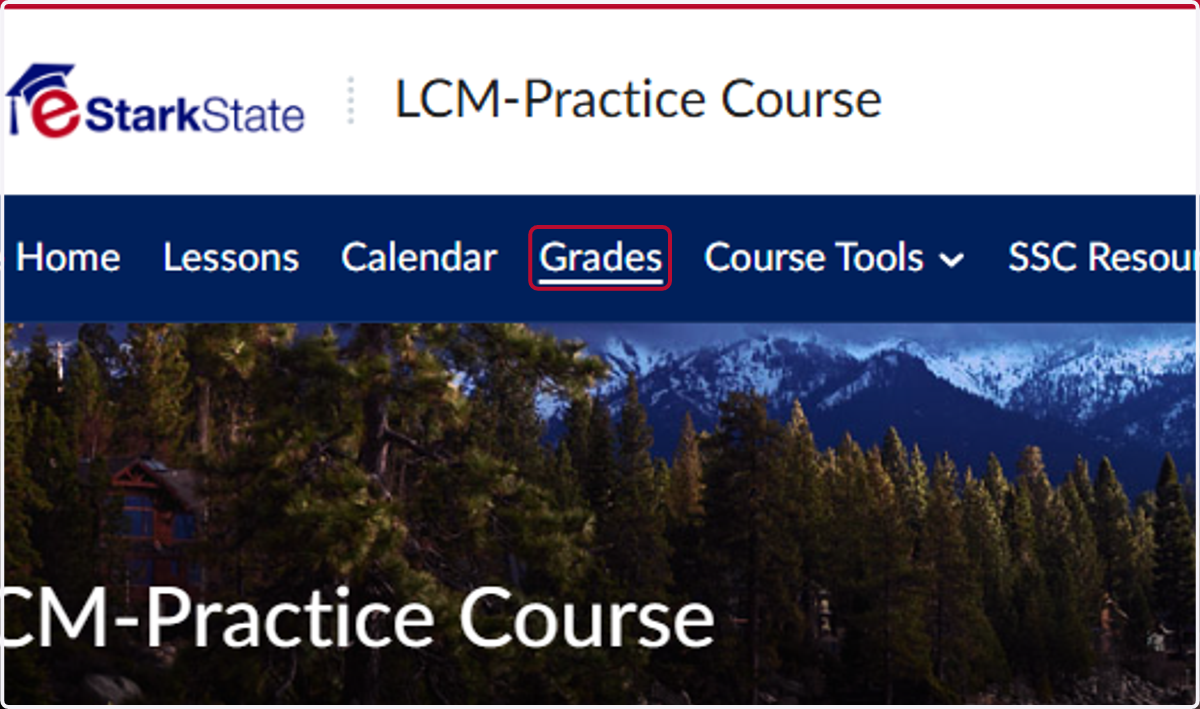 Click on Grades on the menu bar.