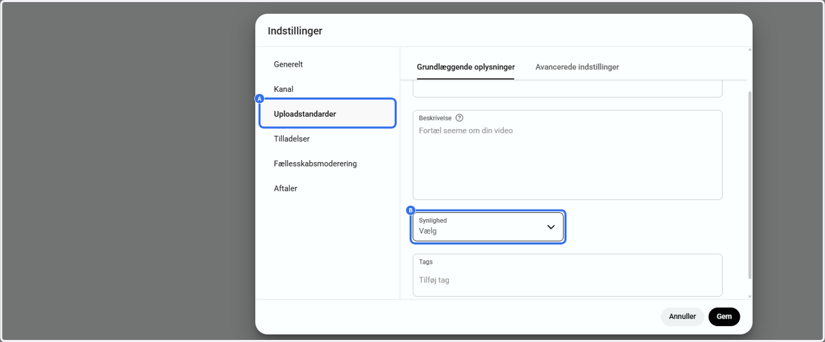 A. Gå ind på Uploadstandarder B. Vælg synlighed.