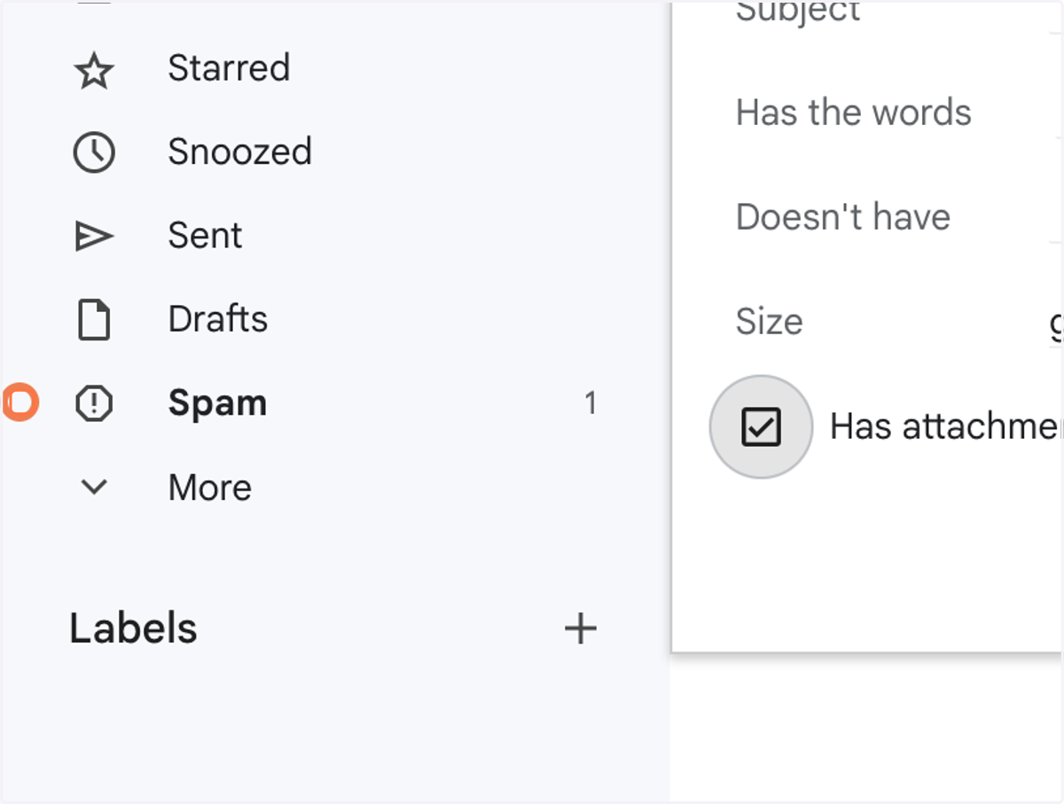 Check Has attachment