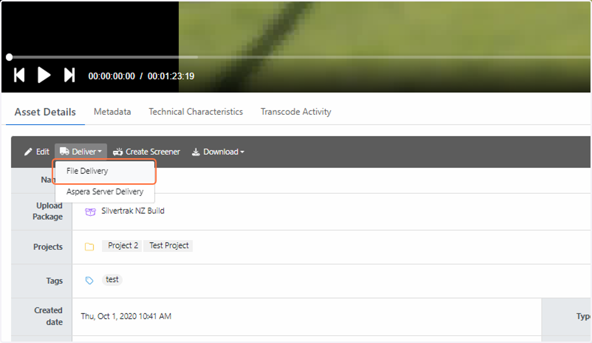 Click on File Delivery