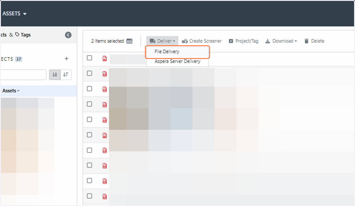 Select “File Delivery'' from the delivery options. Fill in the form with all your relevant delivery details and requirements