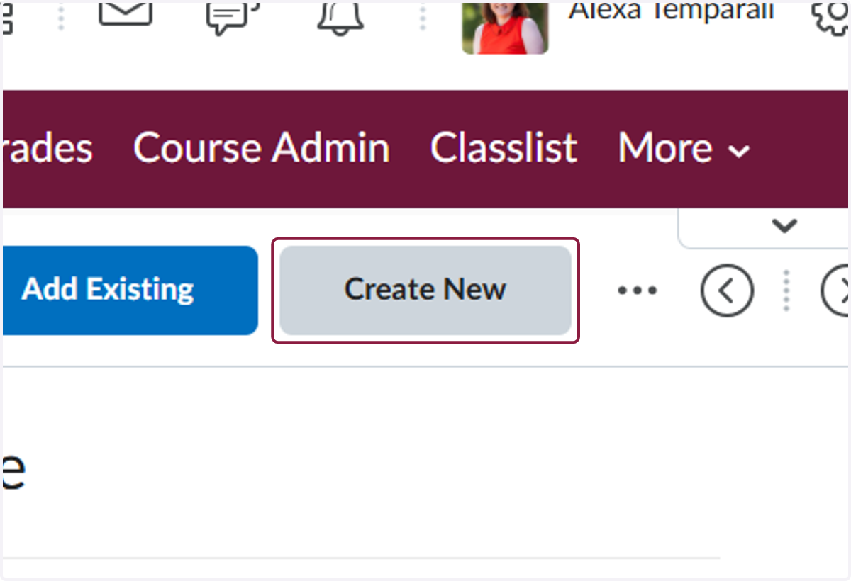 Click on Create New