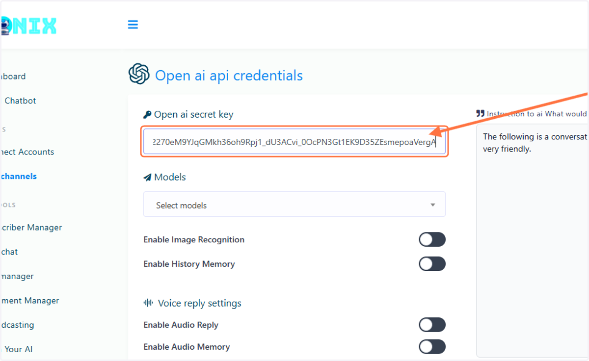 Paste your API Key