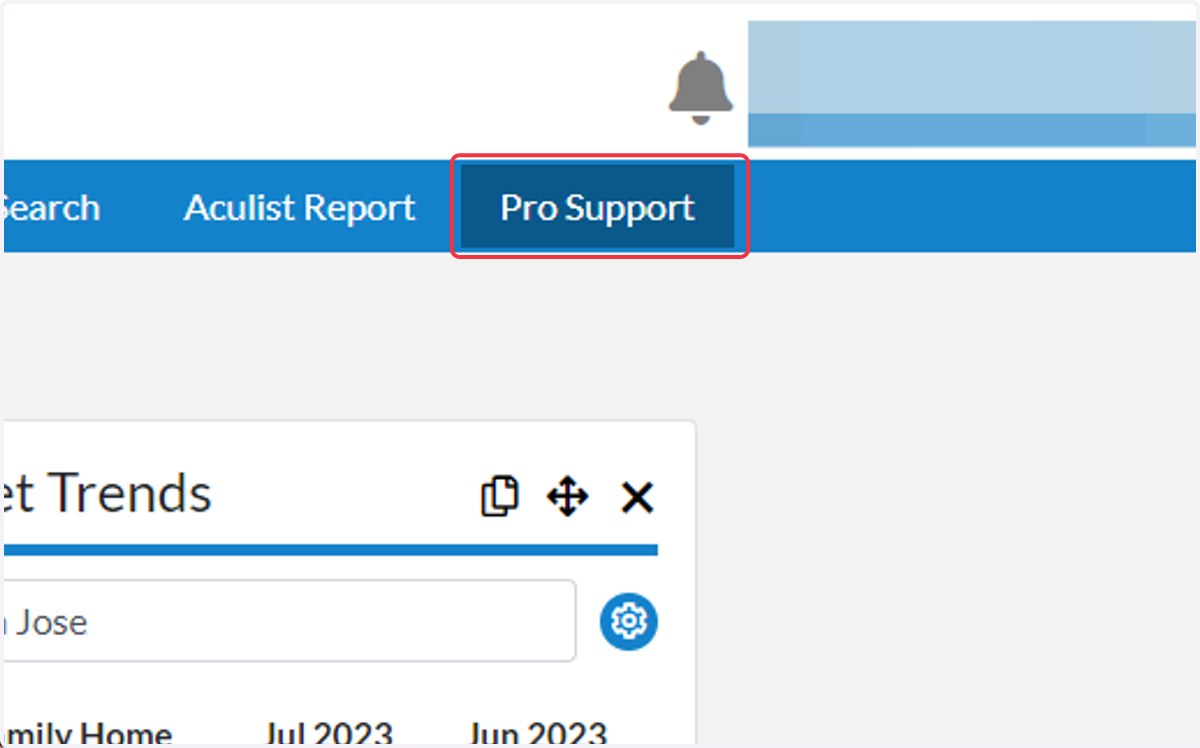 Click on "Pro Support"