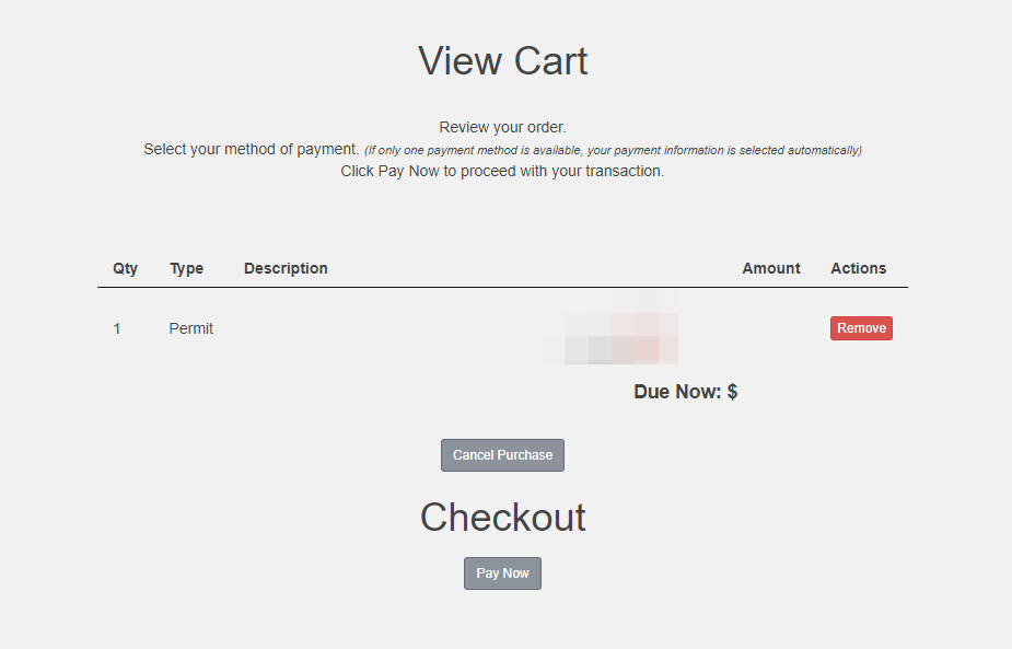Click Pay Now
