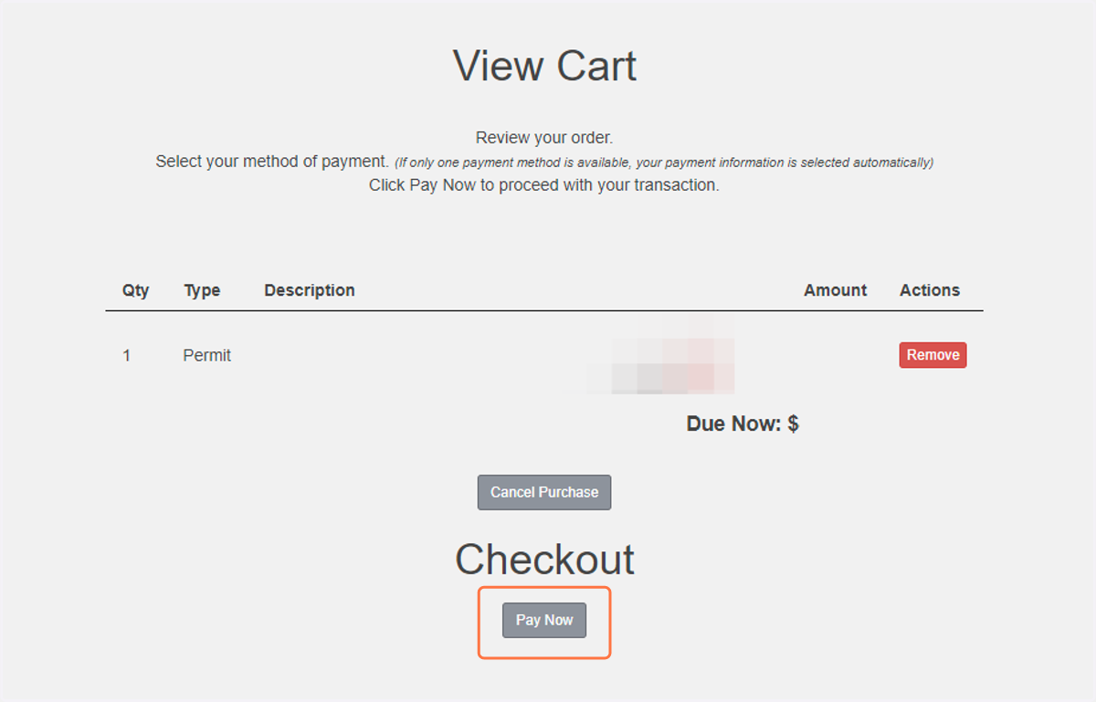 Click Pay Now