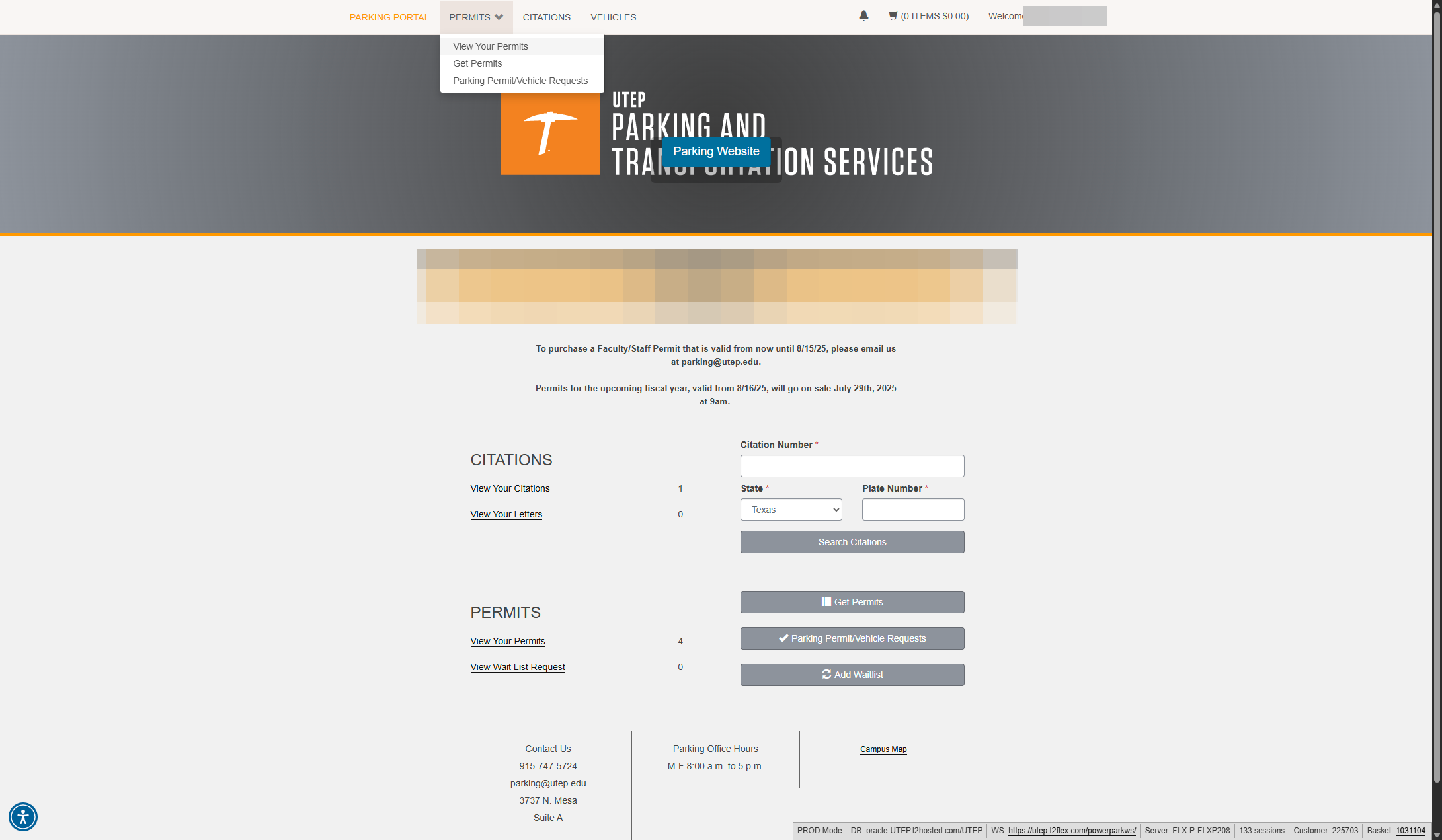 Click Permits then View Your Permits