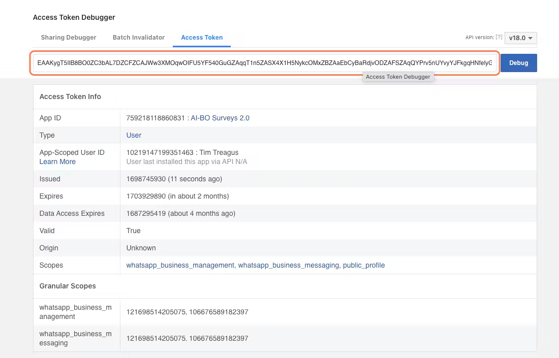 Copy the Debug code