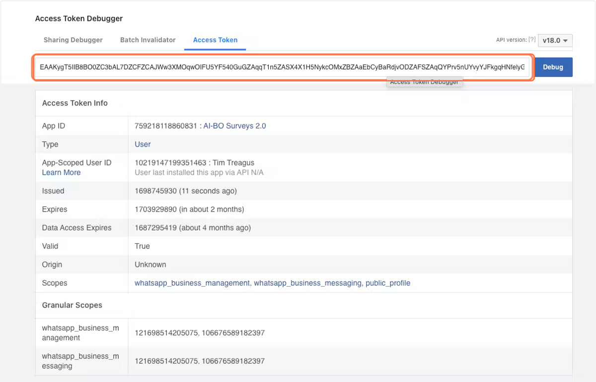 Copy the Debug code