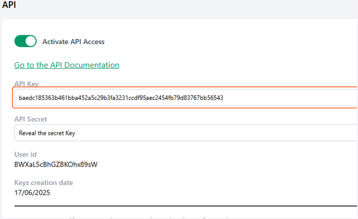 Copy your API key.