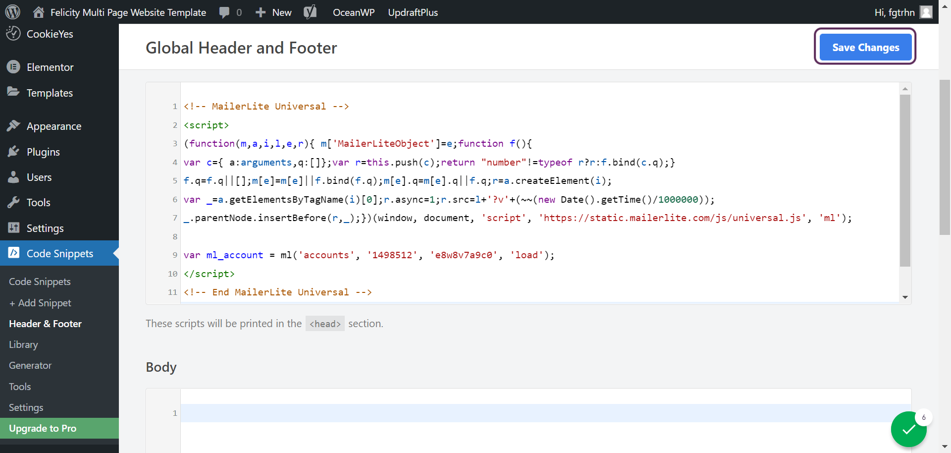 Screenshot showing pasted code in the text area and the user clicking the Save Changes button.