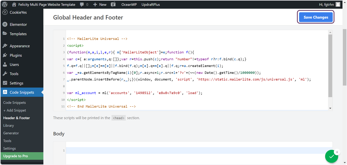 Screenshot showing pasted code in the text area and the user clicking the Save Changes button.