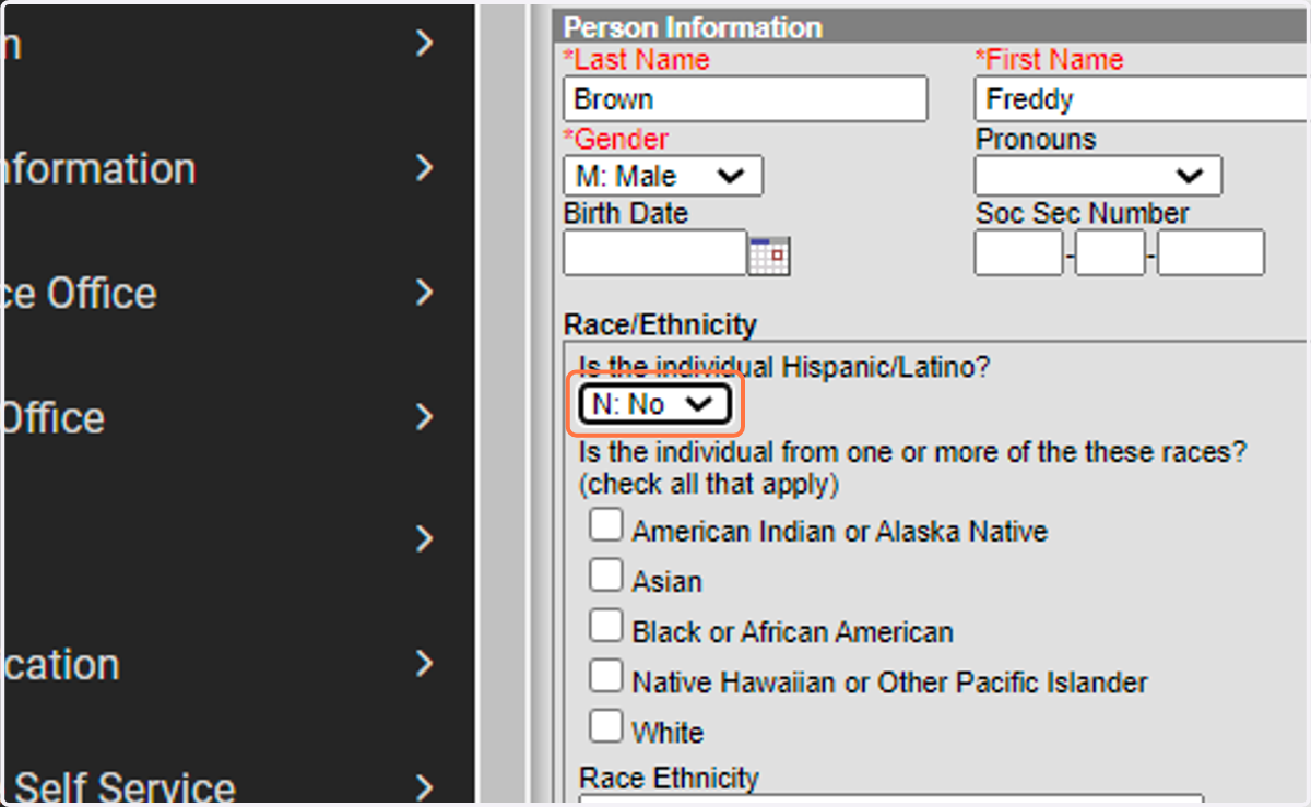 Enter Ethnicity Data