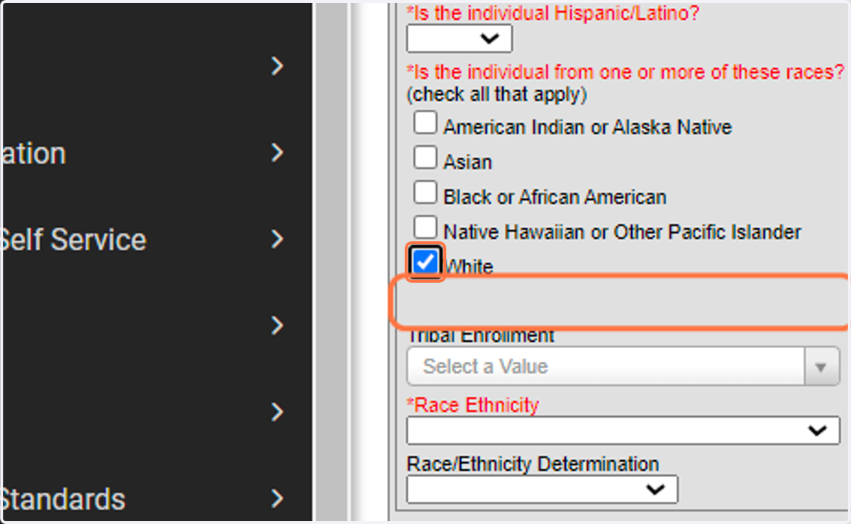Enter Ethnicity Data