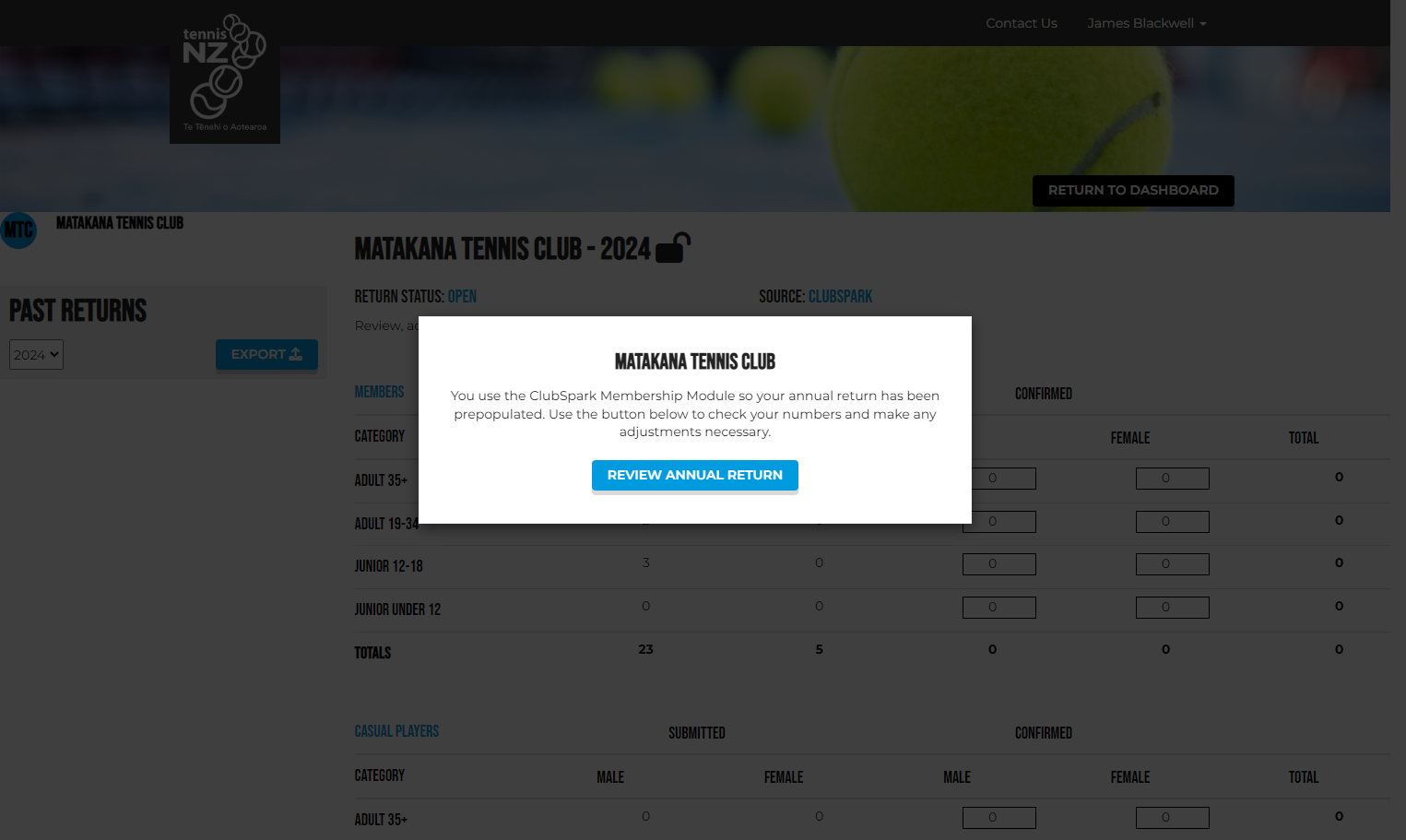 Click on REVIEW ANNUAL RETURN